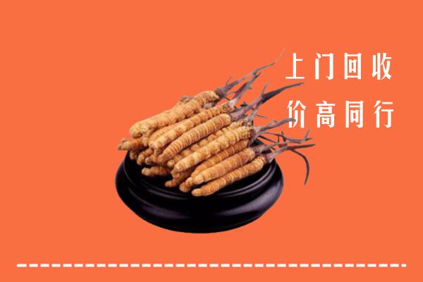 高价求购：吴江区回收散虫草