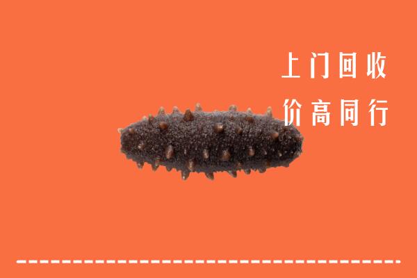 高价求购：吴江区回收海参