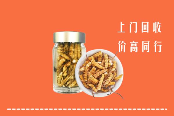 吴江区回收冬虫夏草