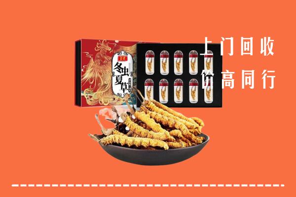 吴江区回收虫草